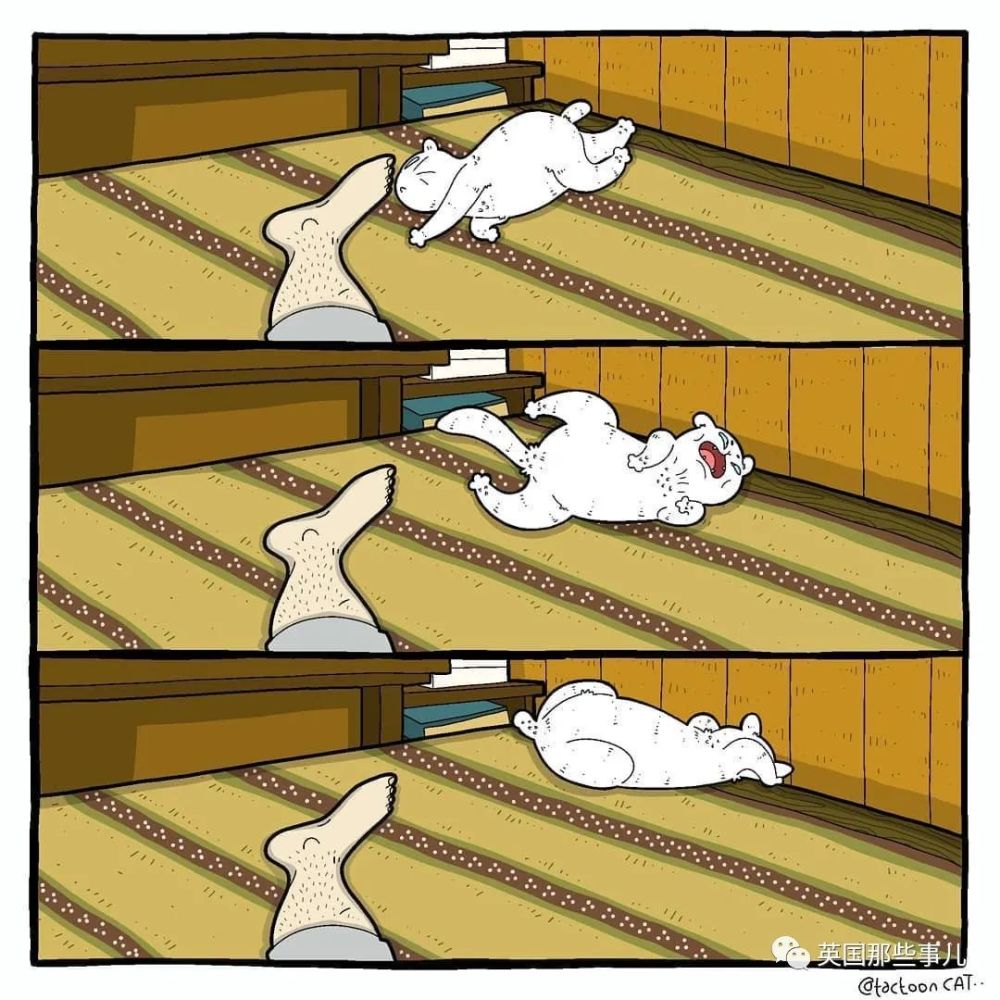 画师将各种沙雕猫猫图卡通化,这搞笑的可爱画风,也太魔性啦_腾讯新闻