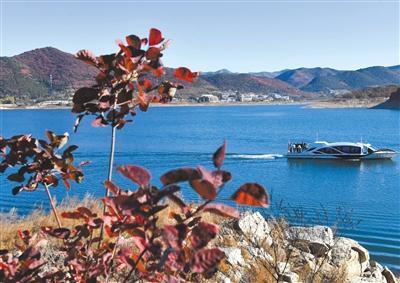 金海湖镇|京郊赏红景区迎来最佳观赏期