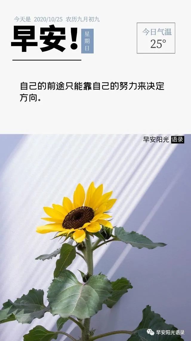 每日正能量語錄寧可因為說真話負罪也不要說假話開脫