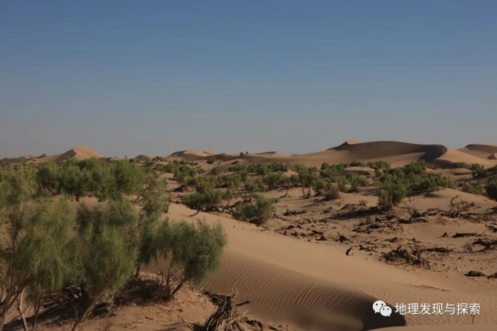 巴丹吉林沙漠|考察纪实∣中国北方沙漠焉何变绿