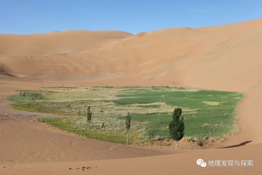 巴丹吉林沙漠|考察纪实∣中国北方沙漠焉何变绿