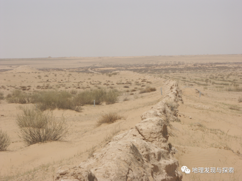 巴丹吉林沙漠|考察纪实∣中国北方沙漠焉何变绿
