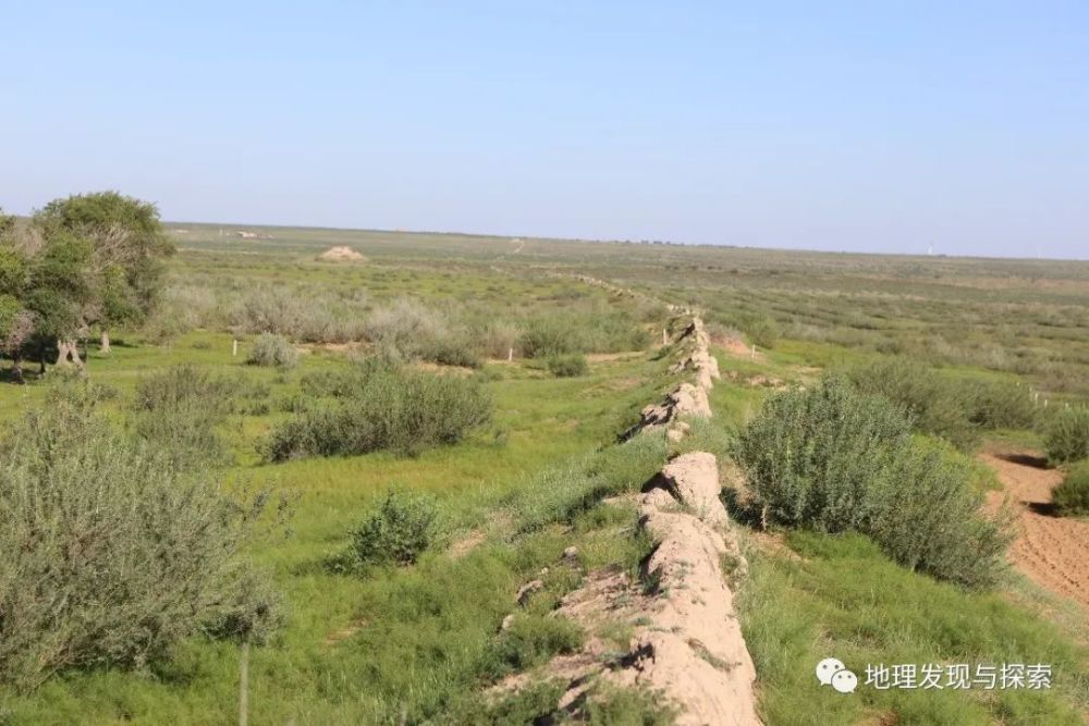 巴丹吉林沙漠|考察纪实∣中国北方沙漠焉何变绿