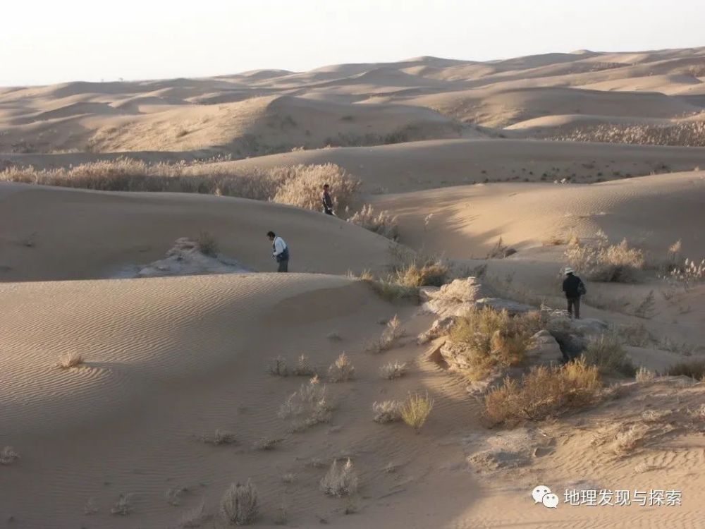巴丹吉林沙漠|考察纪实∣中国北方沙漠焉何变绿