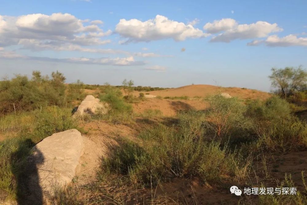 巴丹吉林沙漠|考察纪实∣中国北方沙漠焉何变绿