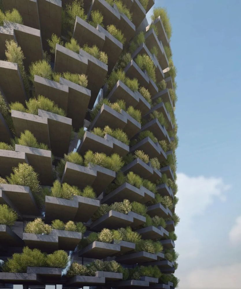 扎哈·哈迪德|师从扎哈的印度鬼才建筑师