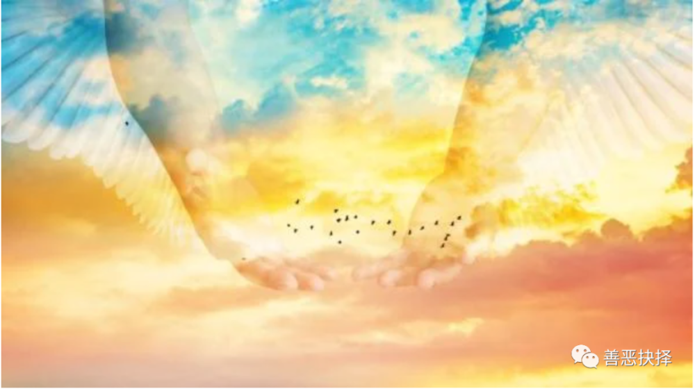 科学家|科学家发现死亡时间可以预测