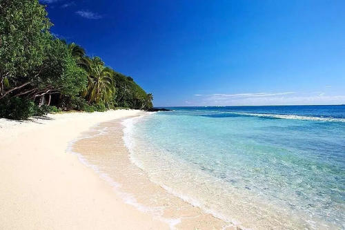 费尼尔司·泰勒·巴纳姆|“斐济美人鱼”曾让海洋学家困惑，后来真相大白，那是假的