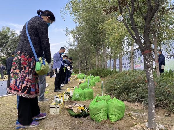 河南商報記者注意到,在樹葬完成之後,不立石碑不留姓名,緬懷的親人