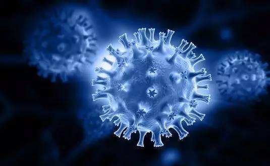 人类免疫缺陷病毒|科学家们设计了一种方法以前所未有的细节揭示出HIV的糖盾