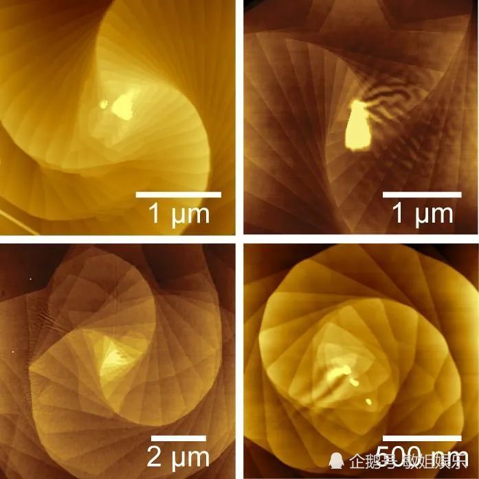 电子显微镜|冷冻电子显微镜技术获新突破，精度达单个原子｜科学要闻