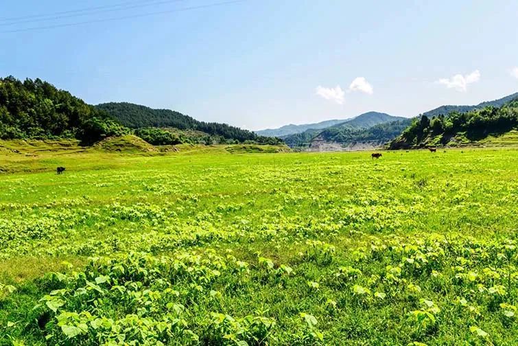 阿坝_阿坝师范学院_阿坝州十大旅游景点