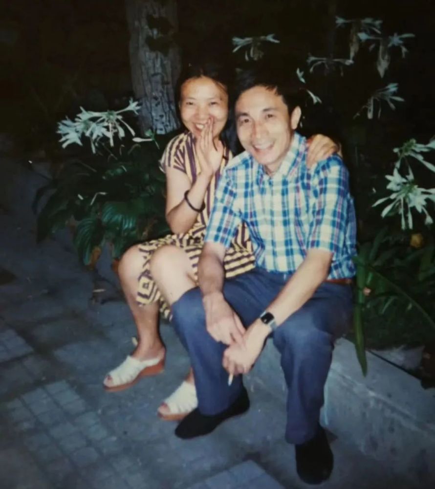 陈布文最后的日子