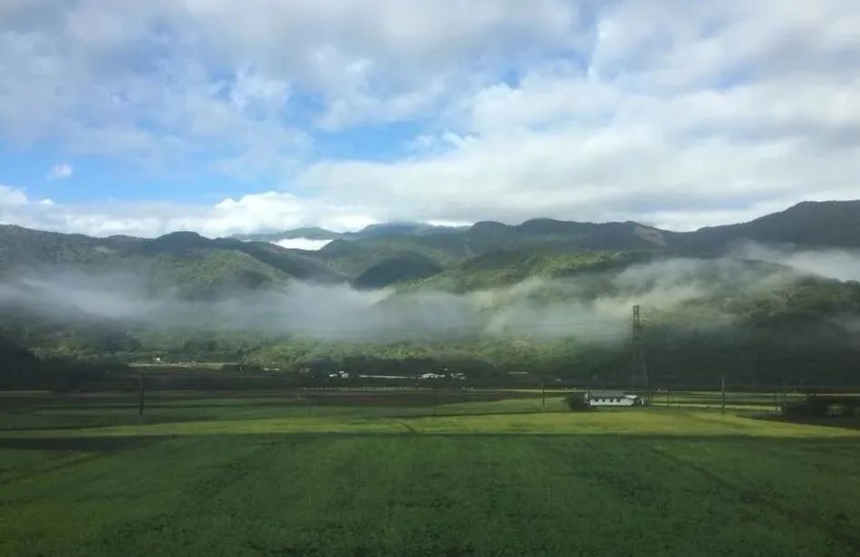 蒋勋|蒋勋：今日山水如此温柔，众生都好