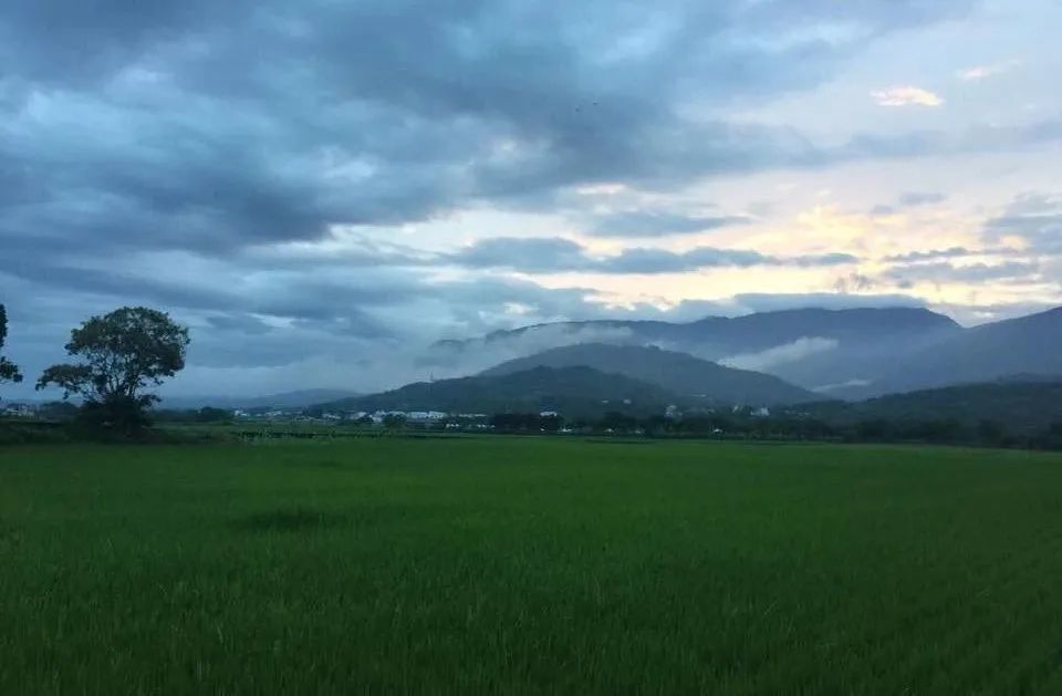 蒋勋|蒋勋：今日山水如此温柔，众生都好