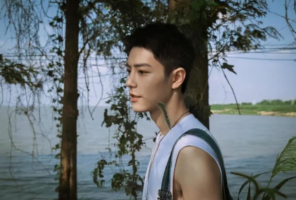 汪海林|汪海林拿起孜然想起肖战粉丝，嘲讽肖战粉丝没文化，李湘被逗乐了