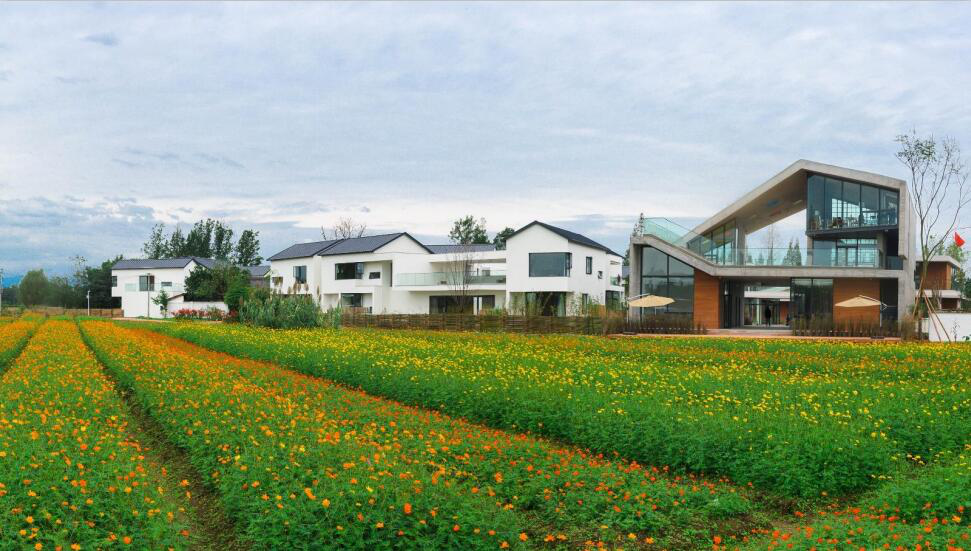 大邑南岸美村:铺展公园城市乡村美学"卷轴"