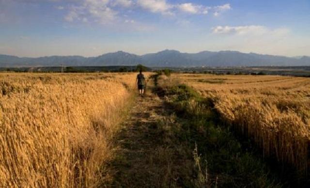 田小娥|《白鹿原》中最悲惨的女人田小娥：如果说有错，可能就是太漂亮了