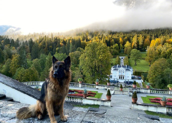 莫文蔚|50岁莫文蔚晒夫妻合照示爱老公，当仨娃后妈9年了，纯素颜变老明显