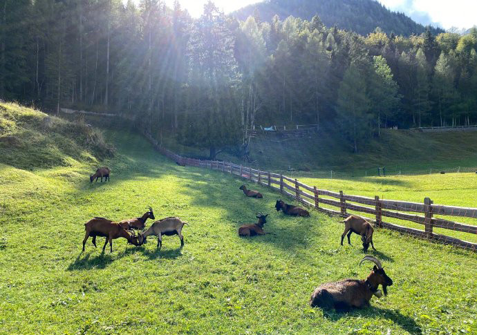 莫文蔚|50岁莫文蔚晒夫妻合照示爱老公，当仨娃后妈9年了，纯素颜变老明显