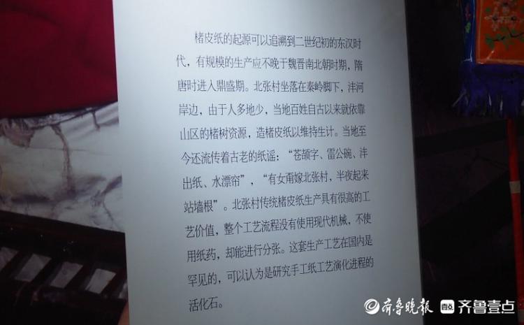 造纸术|济南第六届全国非遗展展厅：最古老造纸术现身