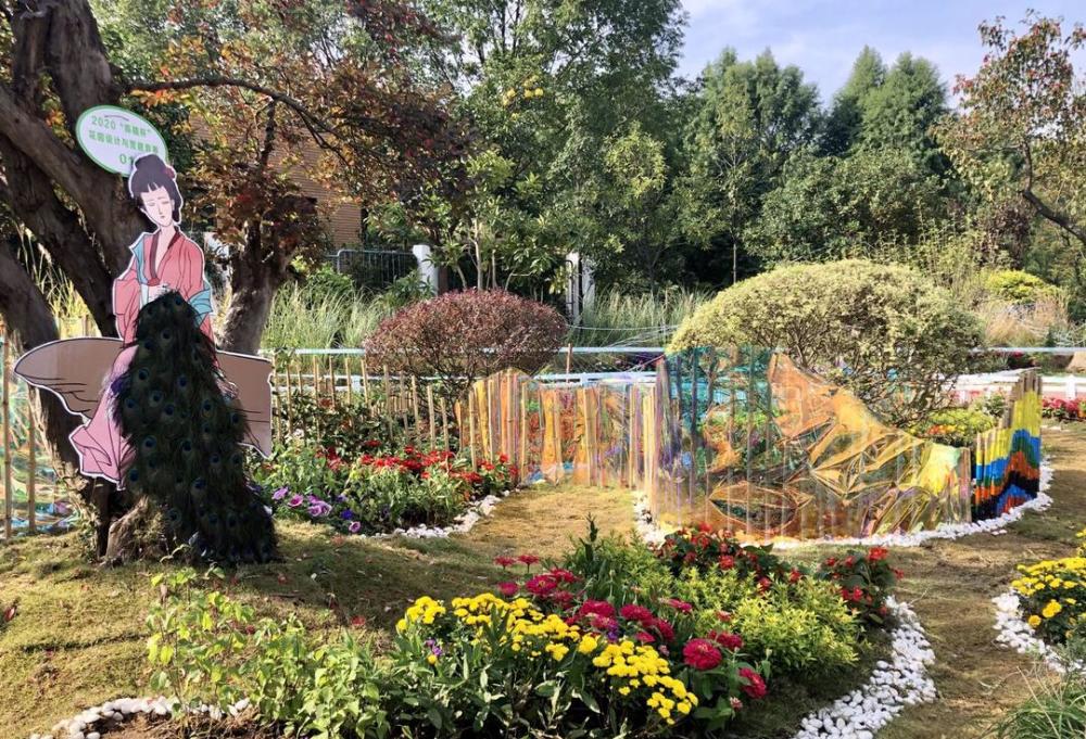 花园里|你熟悉的场景“宝黛共读”“晴雯补裘”，这群大学生在小花园里搭建出来了