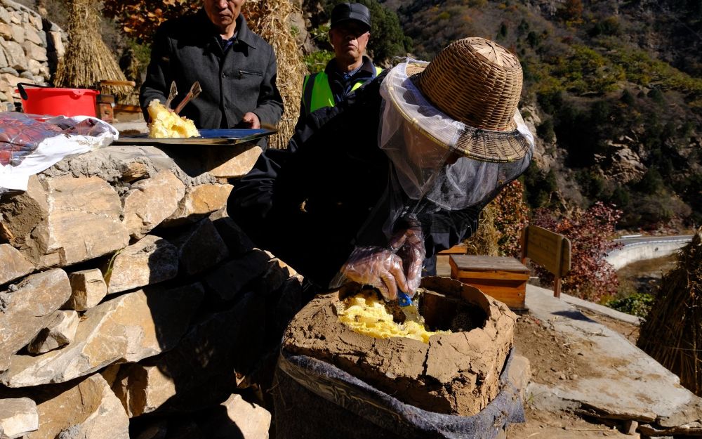 黄峪口村|深山小村养本土蜜蜂 北京密云黄峪口村蜂农靠旅游增收