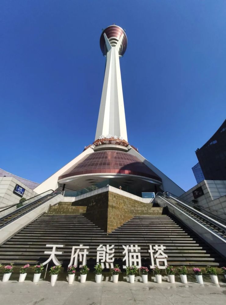 重阳节登高望远高空祈福那就来天府熊猫塔吧