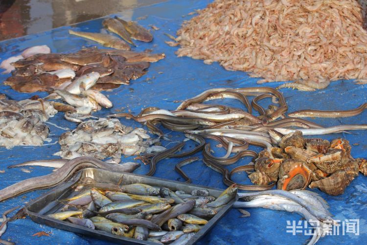 沙子口淘海鲜走起