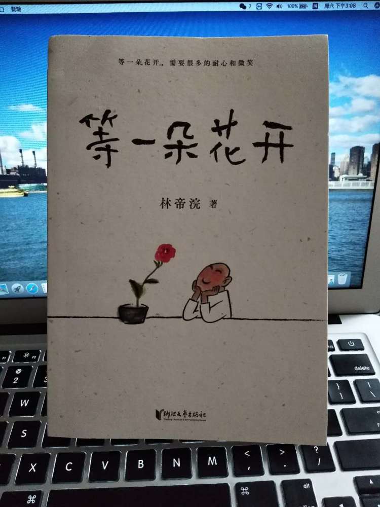 等一朵花开封面图片