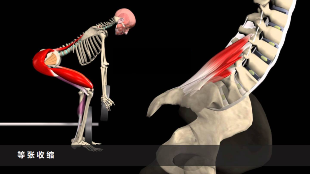 如何快速做肌力评定3个种类和9个要点全搞定