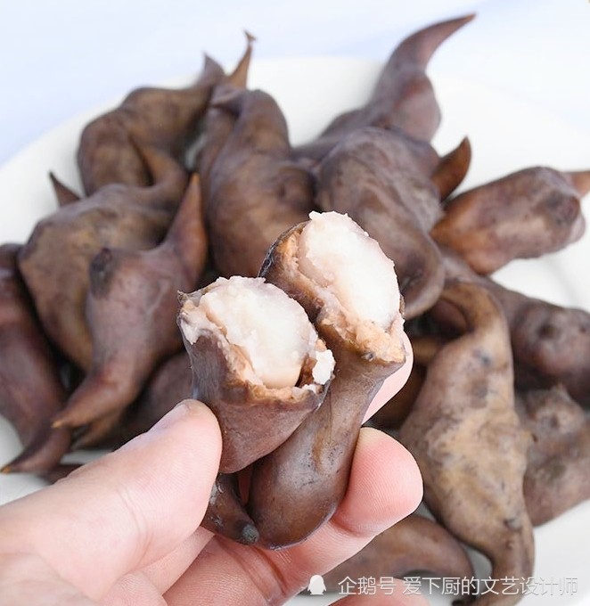 北方人没见过的一种栗子,外形酷似牛角,鲜甜软糯比板栗还好吃
