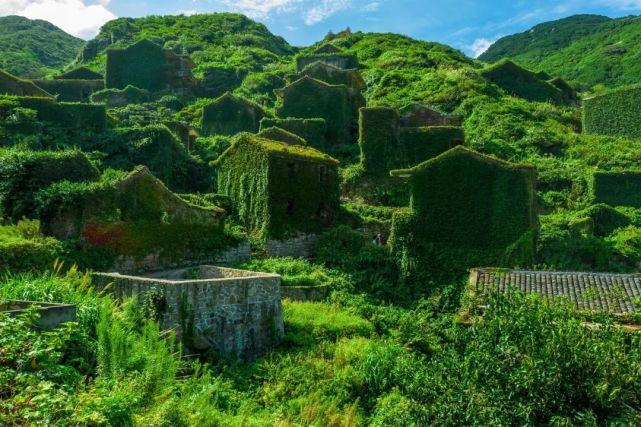 后头湾村:被遗弃的中国绝美无人村,真实世界版的"绿野仙踪"