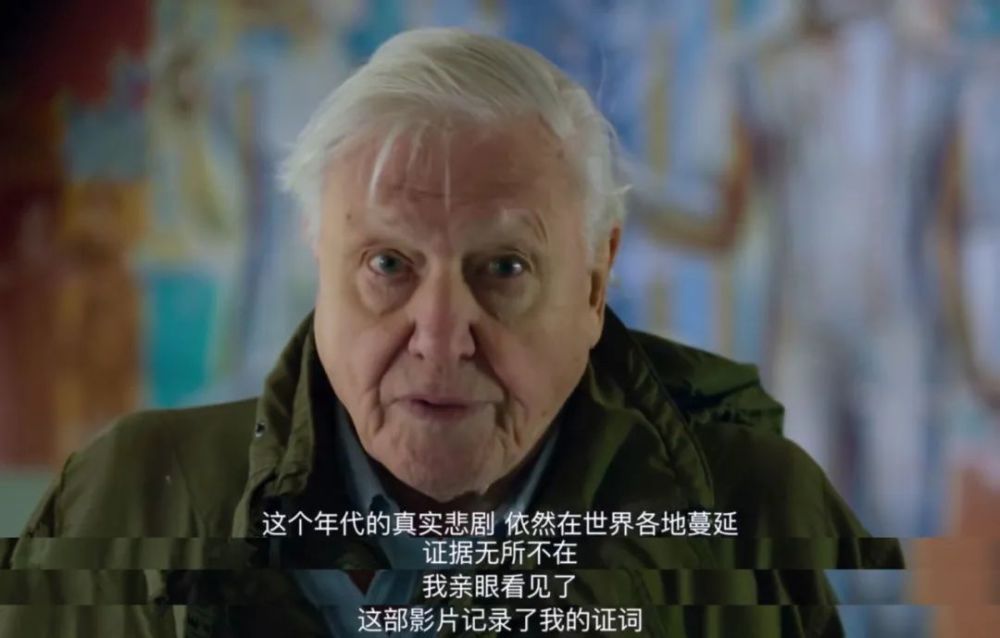 大卫·爱登堡|豆瓣9.9分神作背后的男神，终于不再低调