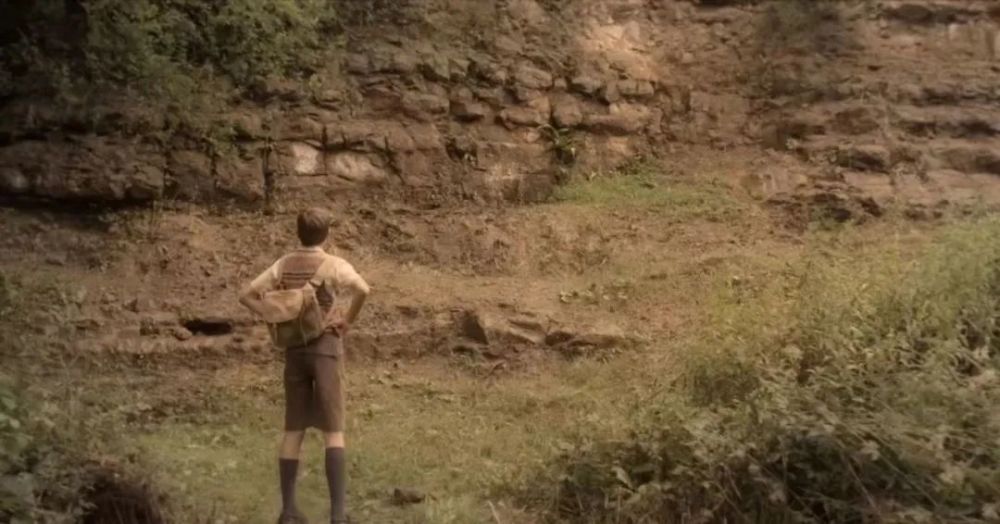 大卫·爱登堡|豆瓣9.9分神作背后的男神，终于不再低调