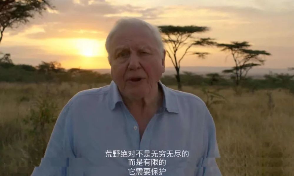 大卫·爱登堡|豆瓣9.9分神作背后的男神，终于不再低调