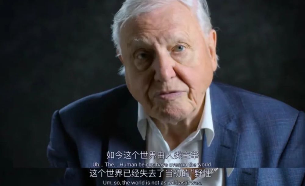 大卫·爱登堡|豆瓣9.9分神作背后的男神，终于不再低调