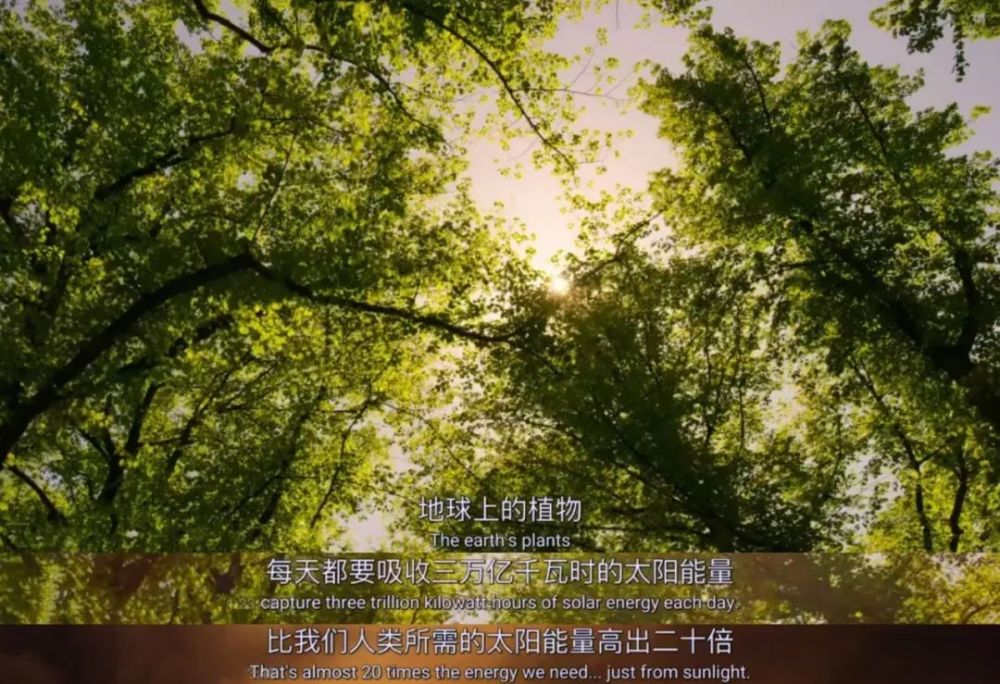 大卫·爱登堡|豆瓣9.9分神作背后的男神，终于不再低调