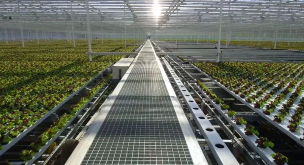 大卫·爱登堡|豆瓣9.9分神作背后的男神，终于不再低调