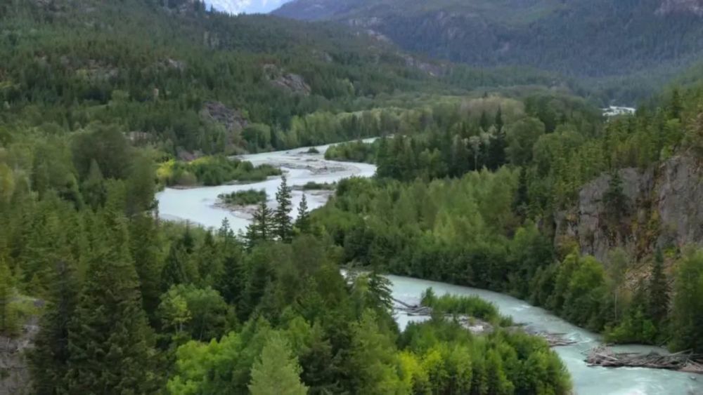 大卫·爱登堡|豆瓣9.9分神作背后的男神，终于不再低调