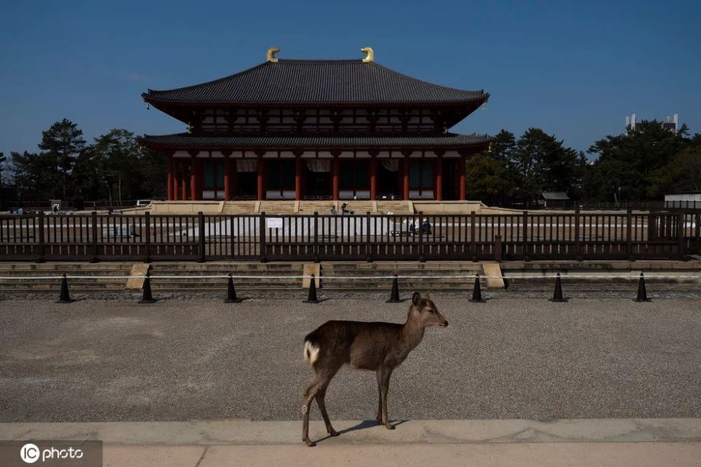 大卫·爱登堡|豆瓣9.9分神作背后的男神，终于不再低调