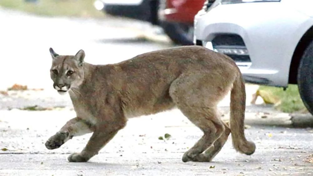 大卫·爱登堡|豆瓣9.9分神作背后的男神，终于不再低调