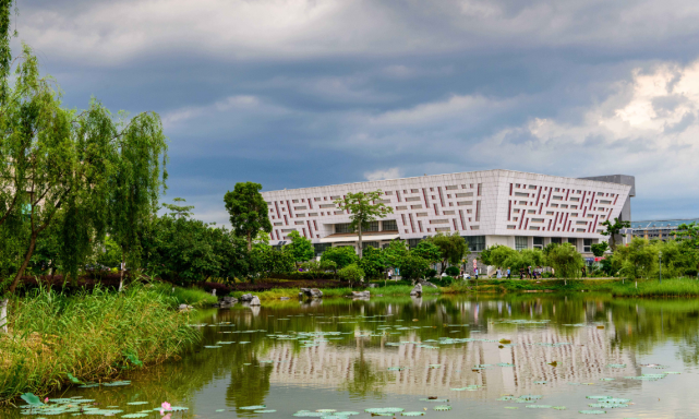 却从大学降到学院|大学|广西|专科|南宁学院|本科|邕江