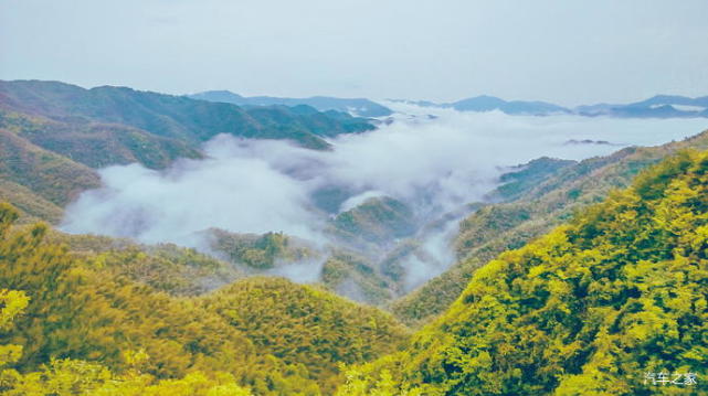 四明山位於浙江省東部的寧紹地區,也稱金鐘山,跨越紹興的嵊州,上虞