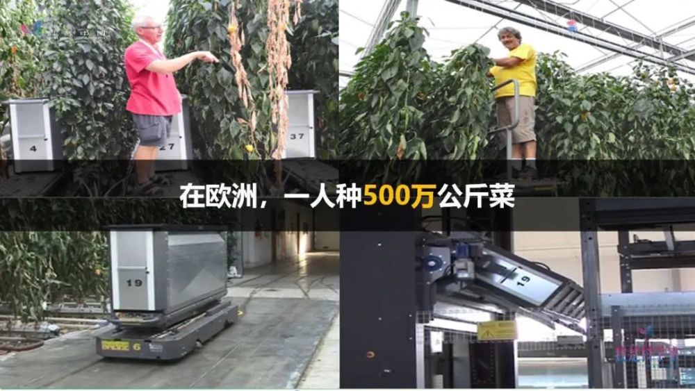 李道亮|苦、脏、累、穷？水产的互联网时代，一人就能养百吨鱼