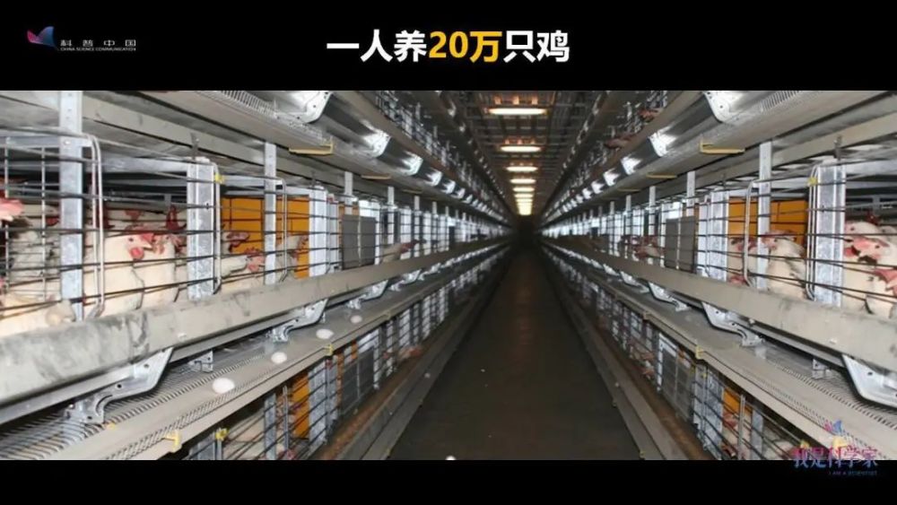 李道亮|苦、脏、累、穷？水产的互联网时代，一人就能养百吨鱼