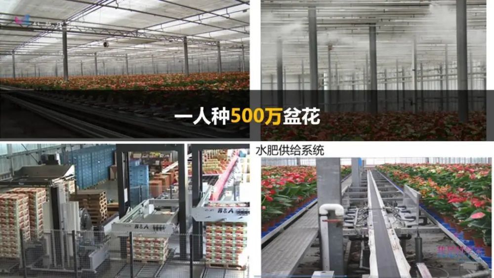 李道亮|苦、脏、累、穷？水产的互联网时代，一人就能养百吨鱼