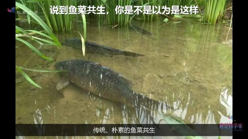 李道亮|苦、脏、累、穷？水产的互联网时代，一人就能养百吨鱼