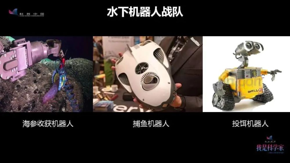 李道亮|苦、脏、累、穷？水产的互联网时代，一人就能养百吨鱼