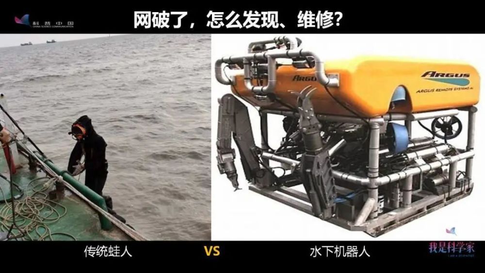 李道亮|苦、脏、累、穷？水产的互联网时代，一人就能养百吨鱼